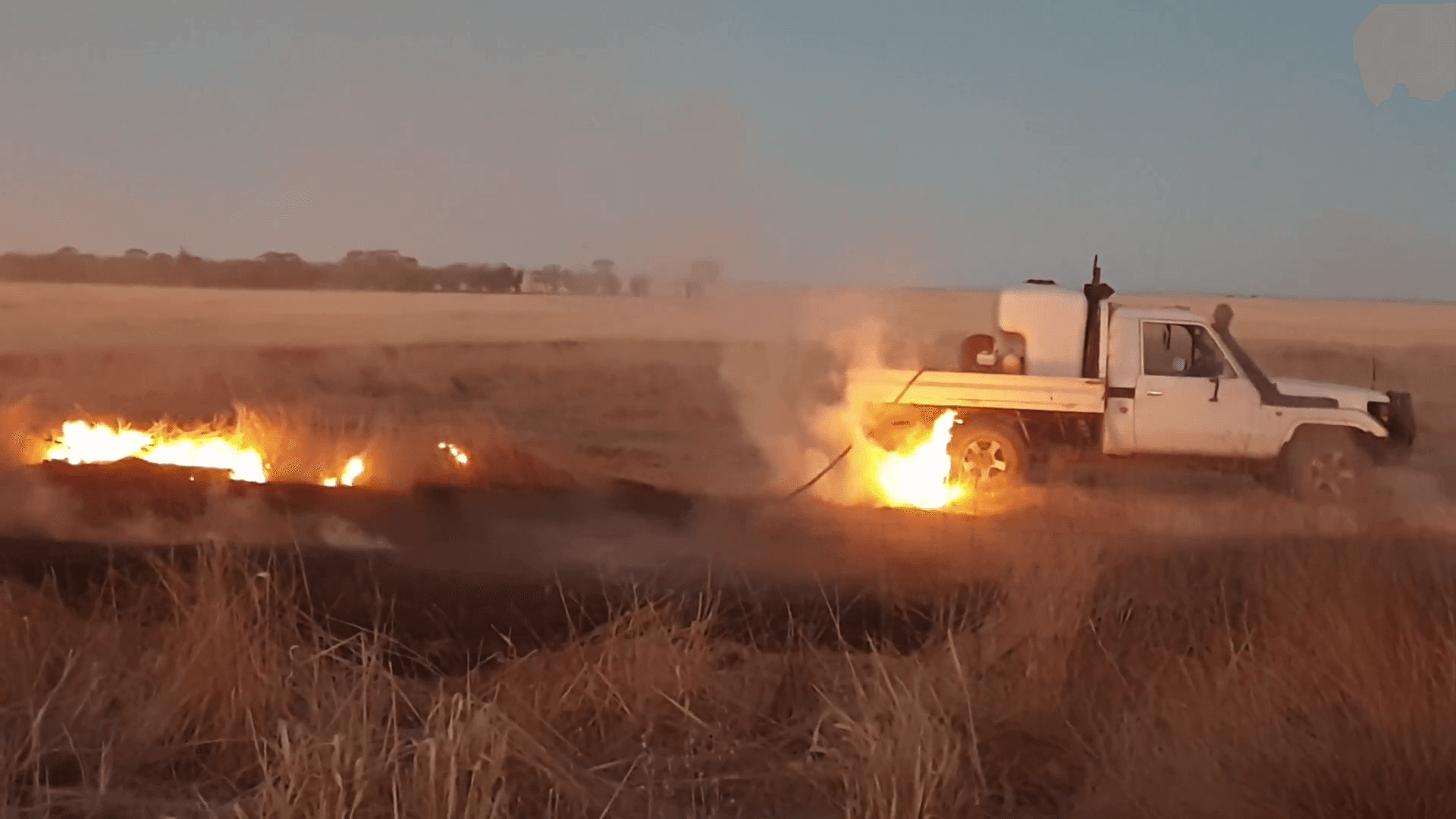 Agricultural field at sunset