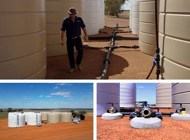 Agricultural field at sunset