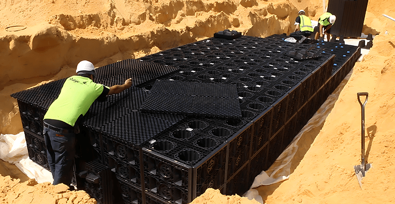 Agricultural field at sunset