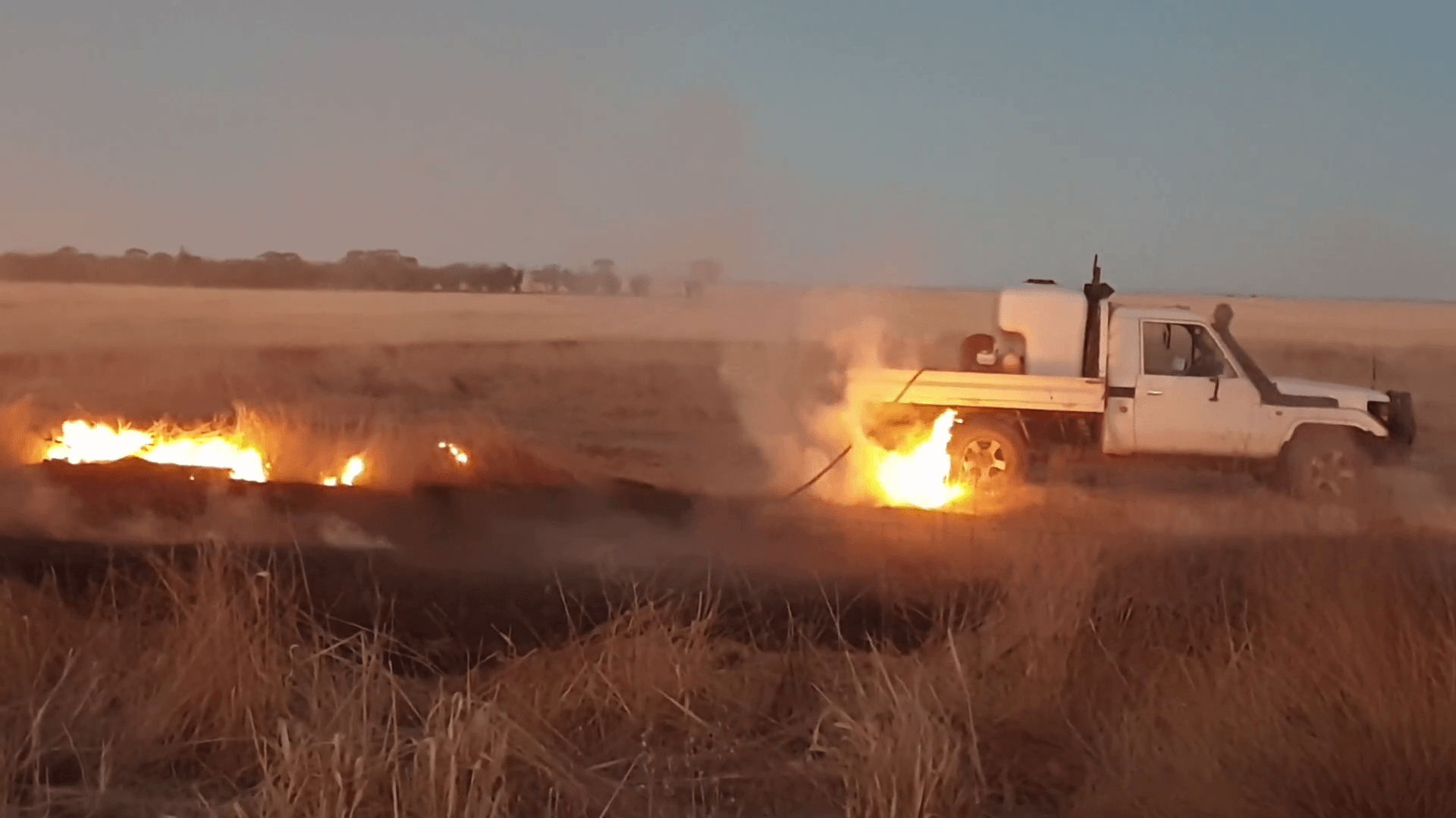 Agricultural field at sunset