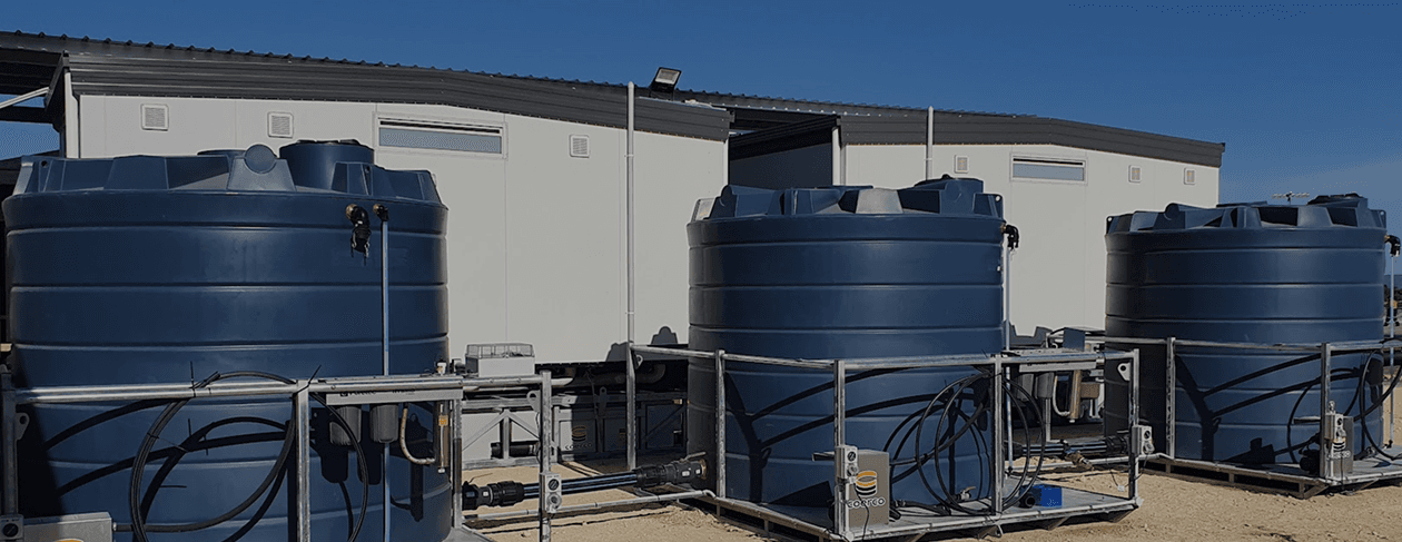 Agricultural field at sunset