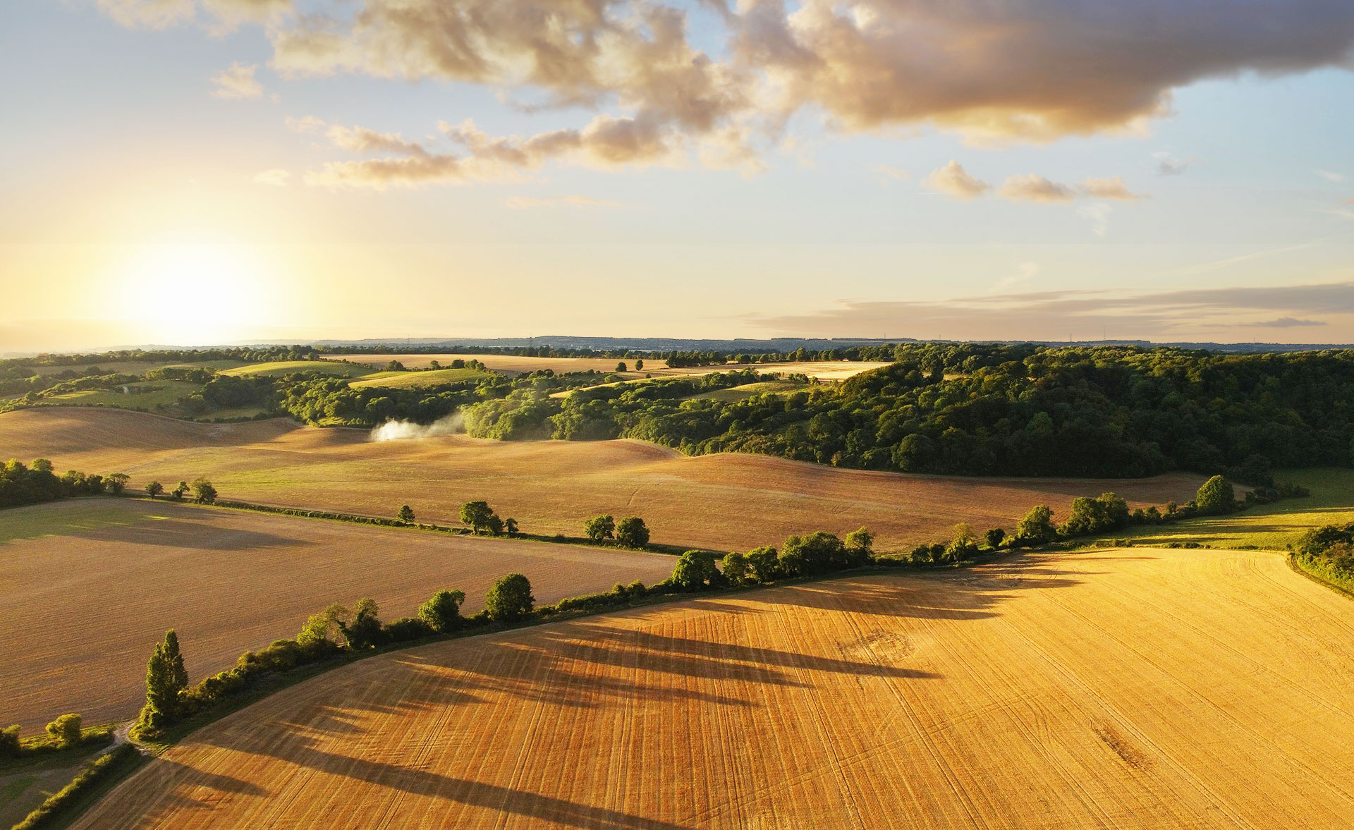 Agriculture